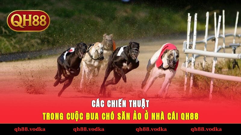 Cuộc Đua Chó Săn Ảo Với 100+ Trận/Ngày, Cược Trong 2 Phút Các chiến thuật trong cuộc đua chó săn ảo ở nhà cái QH88