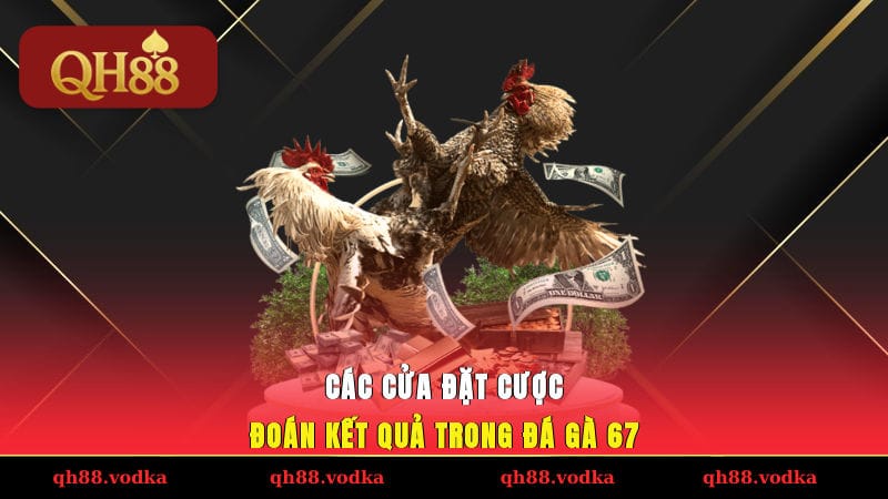 Đá Gà 67 - Trực Tiếp Trận Chọi Kê Giao Tranh Khốc Liệt Các cửa đặt cược đoán kết quả trong đá gà 67