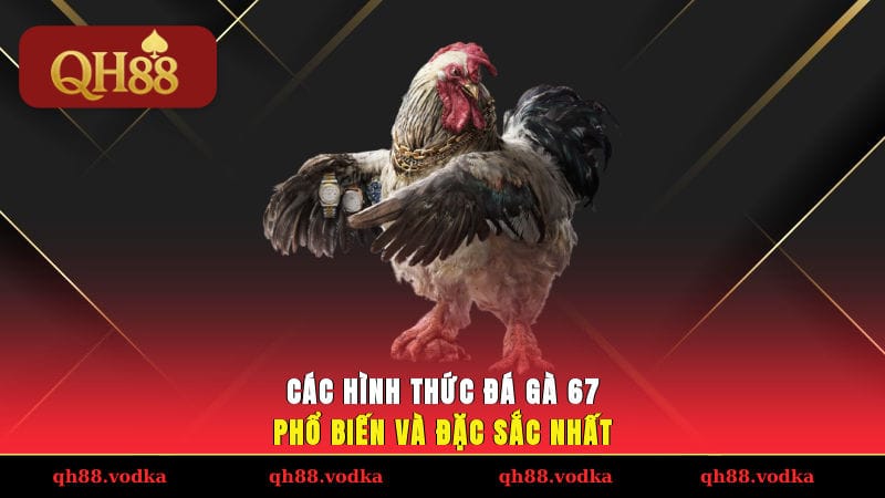 Đá Gà 67 - Trực Tiếp Trận Chọi Kê Giao Tranh Khốc Liệt Các hình thức đá gà 67 phổ biến và đặc sắc nhất