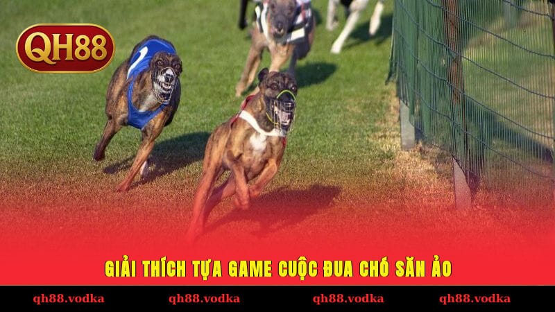 Cuộc Đua Chó Săn Ảo Với 100+ Trận/Ngày, Cược Trong 2 Phút Giải thích tựa game cuộc đua chó săn ảo