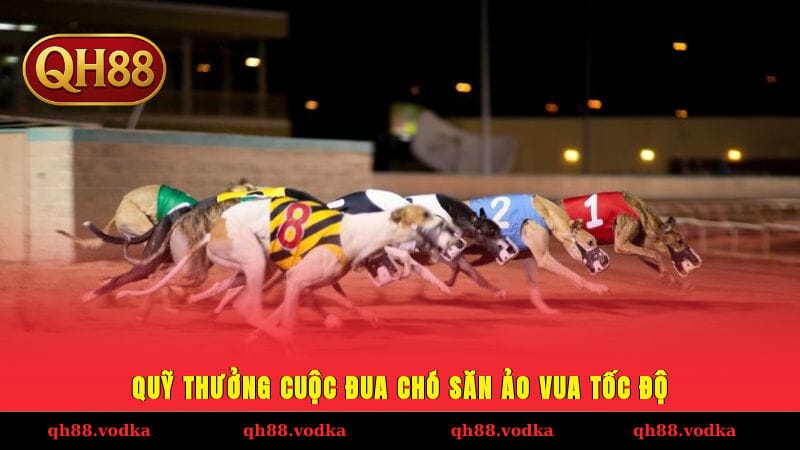 Cuộc Đua Chó Săn Ảo Với 100+ Trận/Ngày, Cược Trong 2 Phút Quỹ thưởng cuộc đua chó săn ảo vua tốc độ